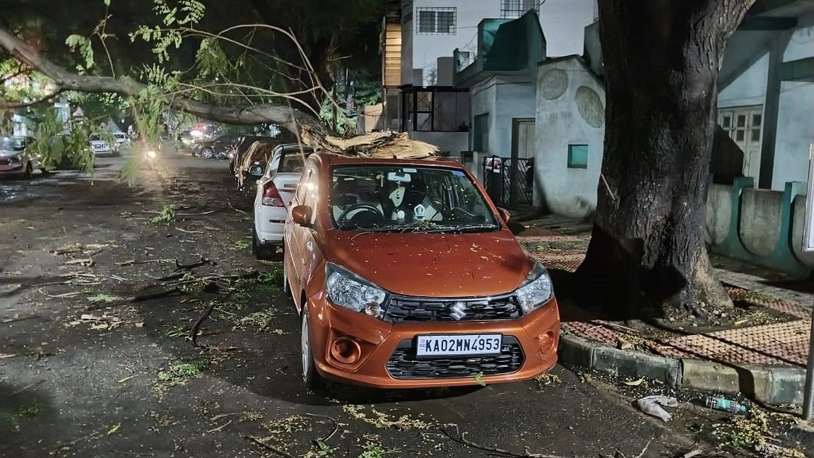 Sudden showers batter Bengaluru; leave trail of uprooted trees, waterlogged roads