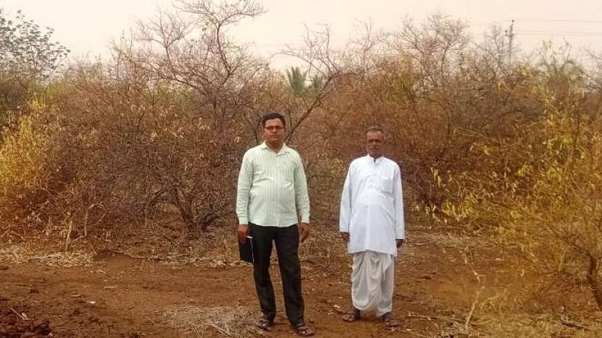 Vijayapura’s lemon legacy hit as drought bites