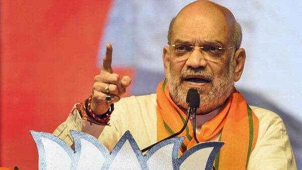 Lok Sabha Elections 2024: There will be 'jungle raj' in country if I.N.D.I.A. bloc comes to power, says Amit Shah in Bihar