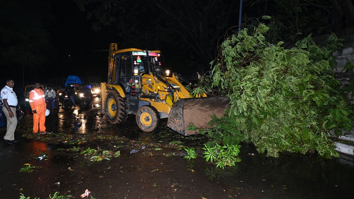 Thundershowers in Bengaluru: Tree falls, waterlogging bring many areas to a halt
