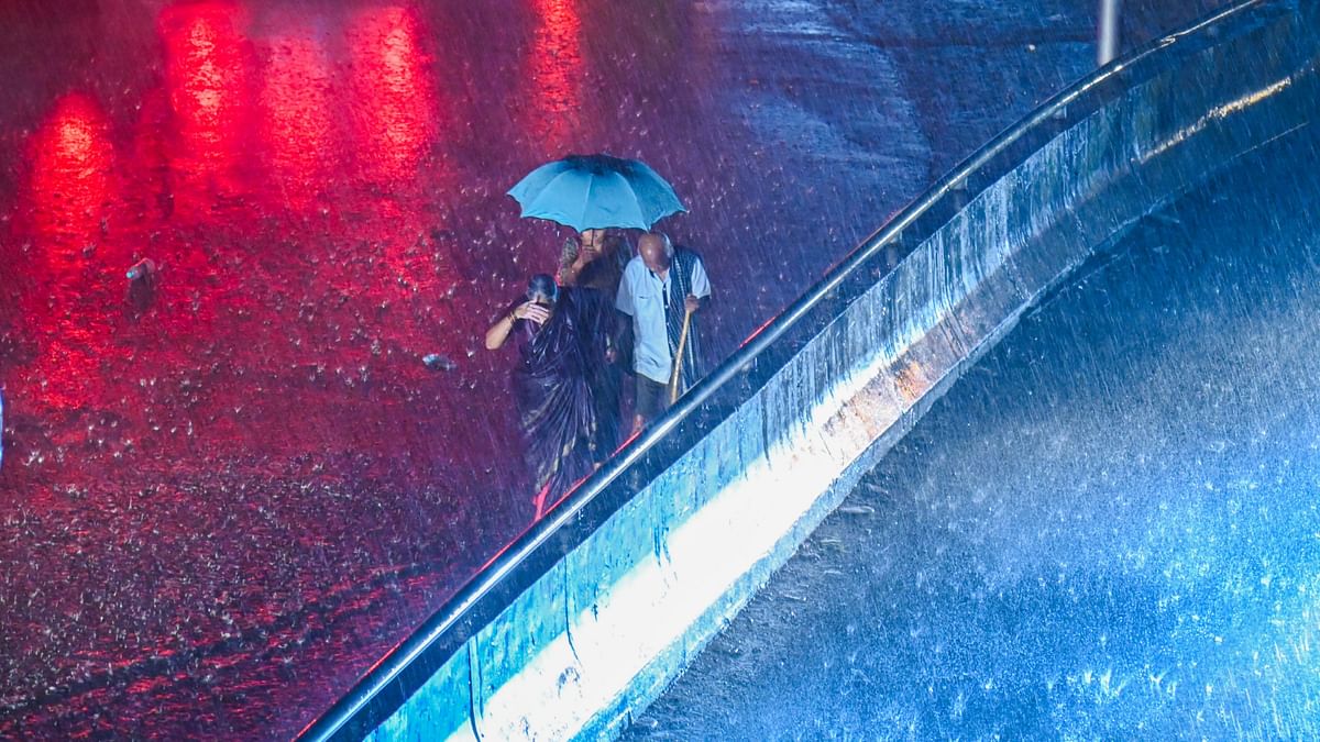 Bengaluru finally received its first showers of rain after six long months of dry weather. 