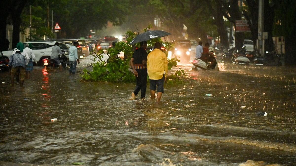 Rain brings down 305 electric poles in city