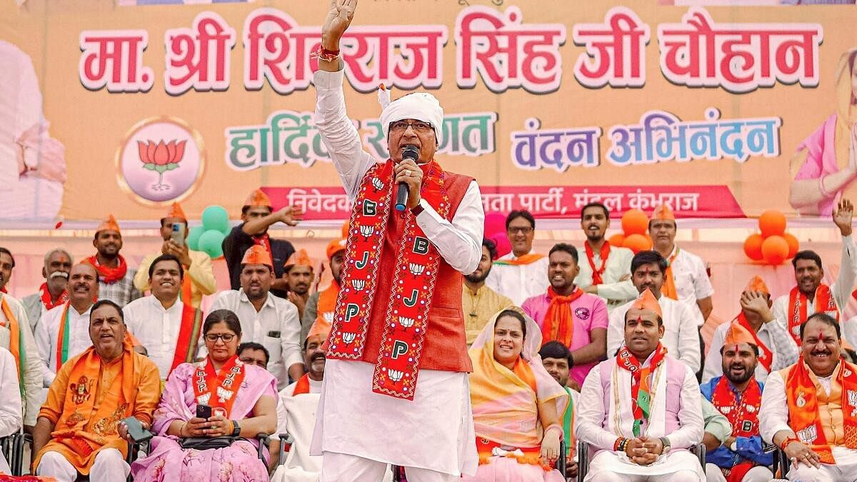 Lok Sabha Elections 2024: Youth tries to grab mic of BJP's Vidisha candidate Shivraj Singh Chouhan