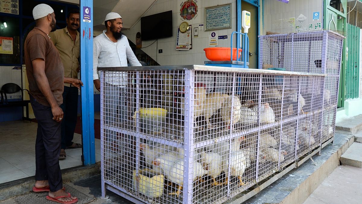 Bengaluru sees chicken prices pecking through the roof