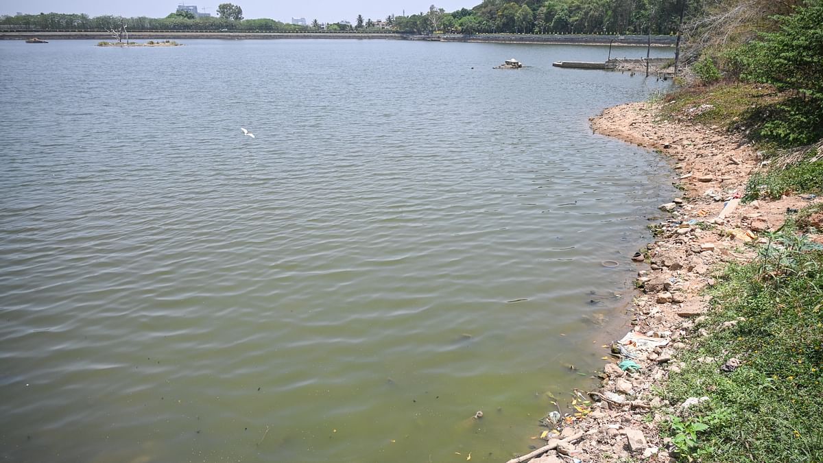 Summer scorcher: Falling water level in Bengaluru's Sankey tank