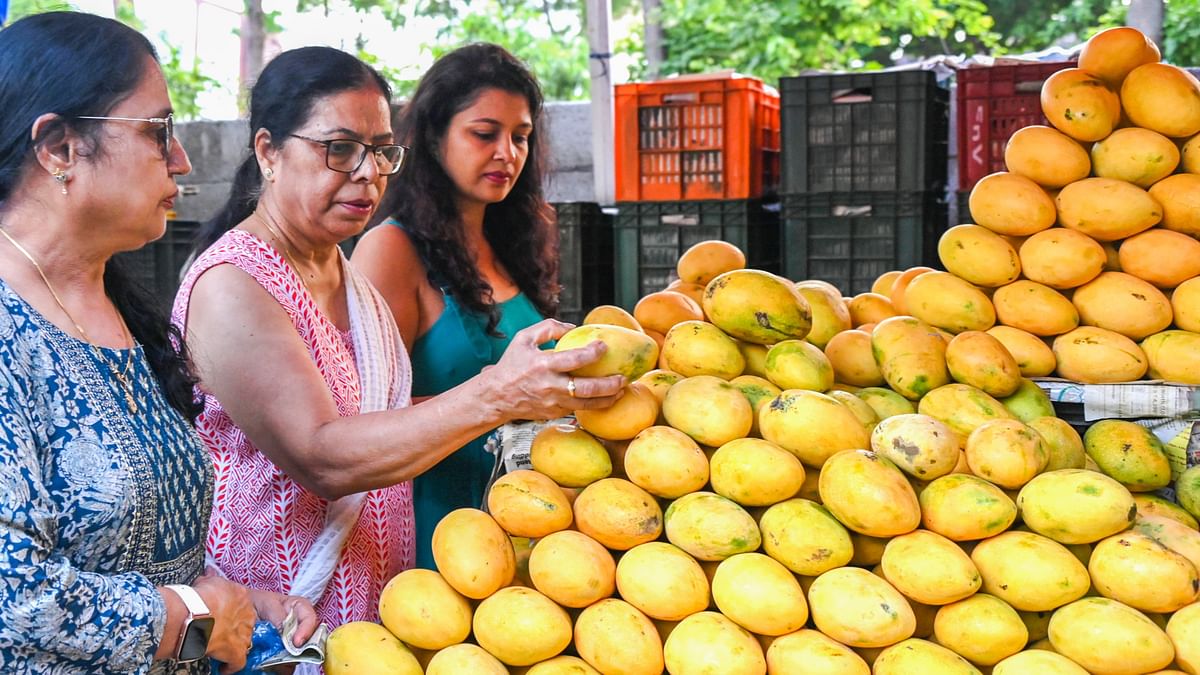 Mango export faces headwinds as air freight charges surge 