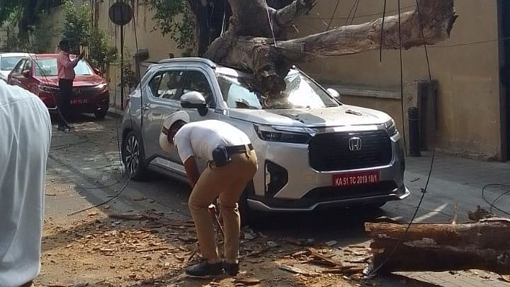 Large, dry tree falls on a brand new car at Bengaluru's Lavelle Road, no casualties