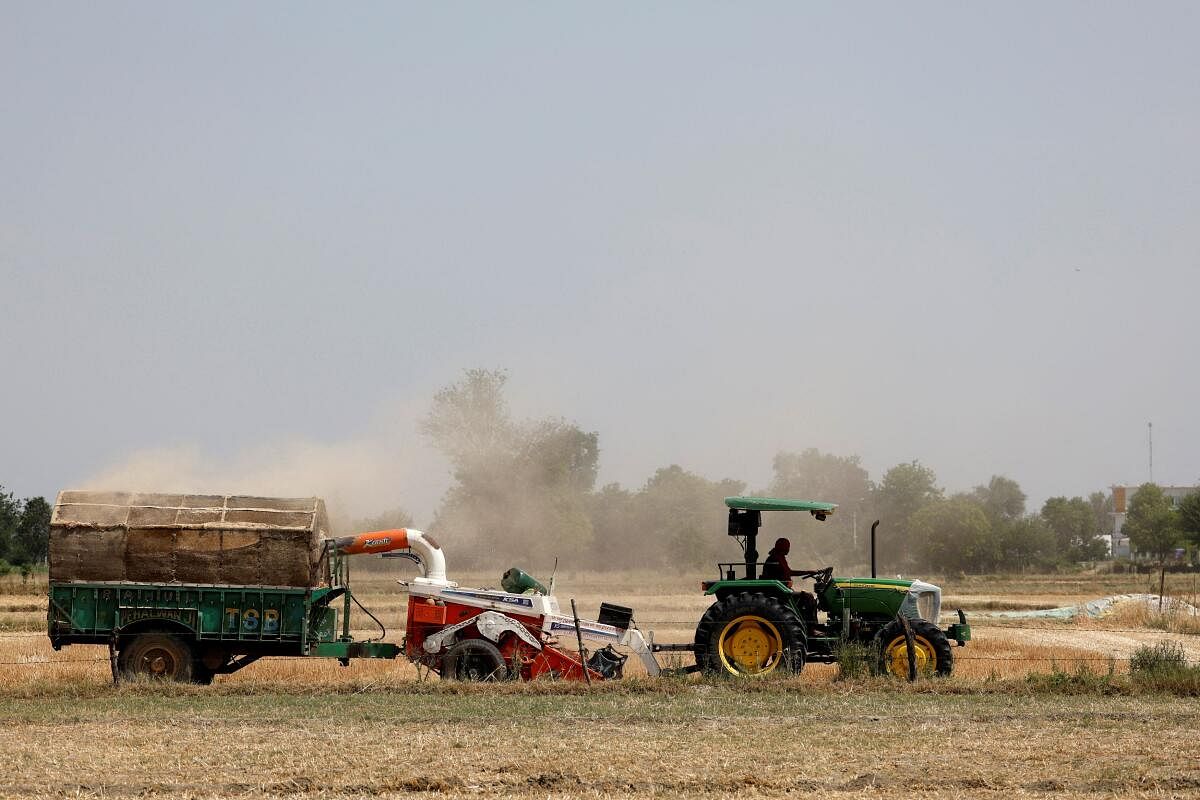 A farmer removes stubble with the help of a machine in a wheat field in Mathura. 