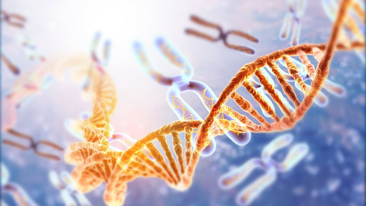Could gene therapy cure PWS?