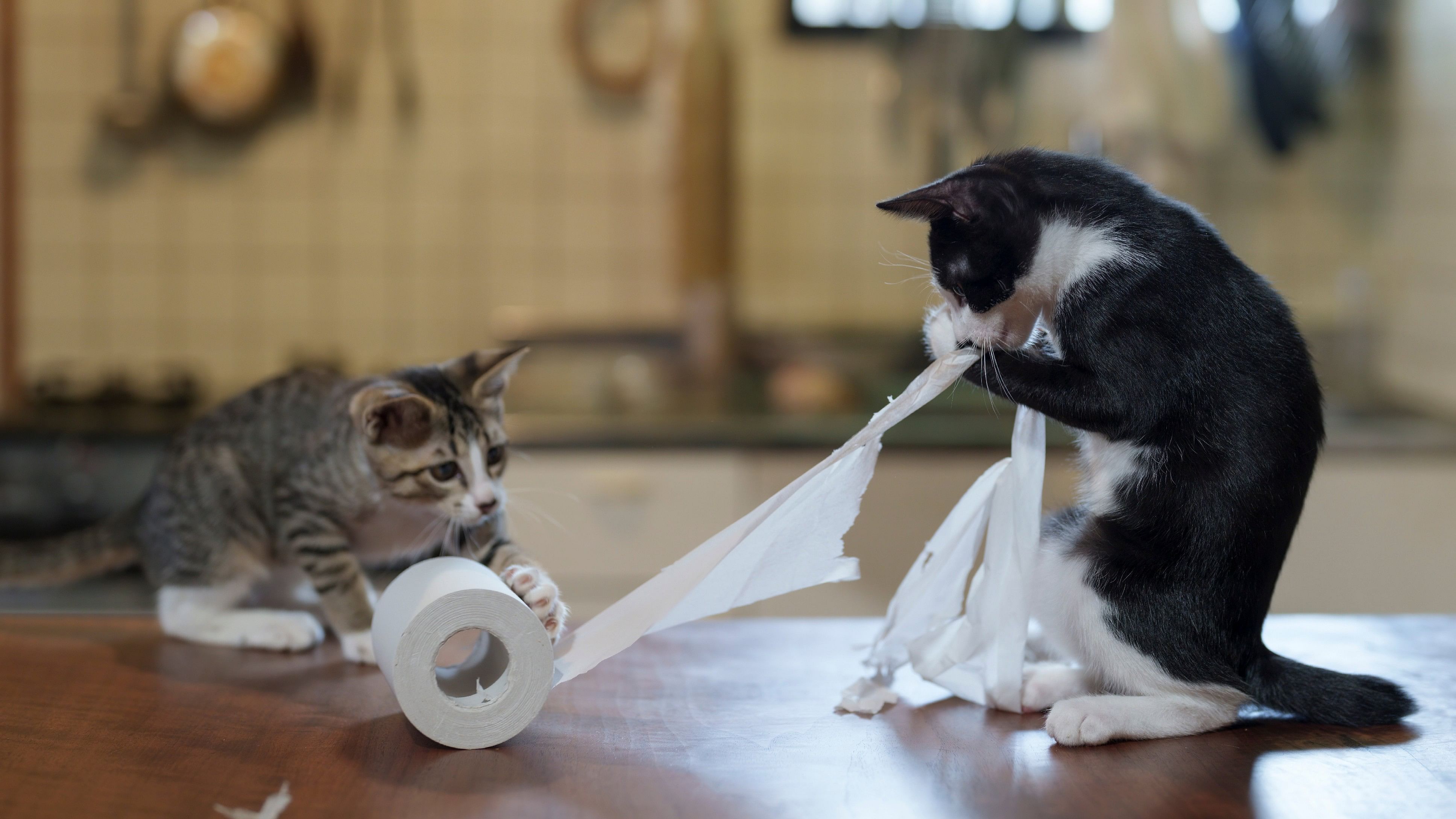 “The Hard Workers” by Atsuyuki Ohshimo.