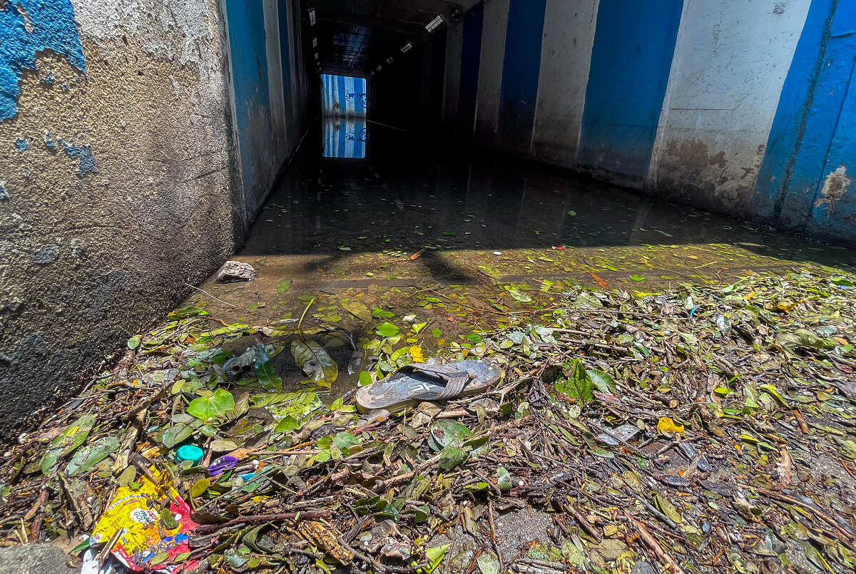 Leaves and garbage clog a drain entry at the underpass connecting Cunningham Road and Sankey Road, causing it to remain waterlogged after it rained in May last year. 