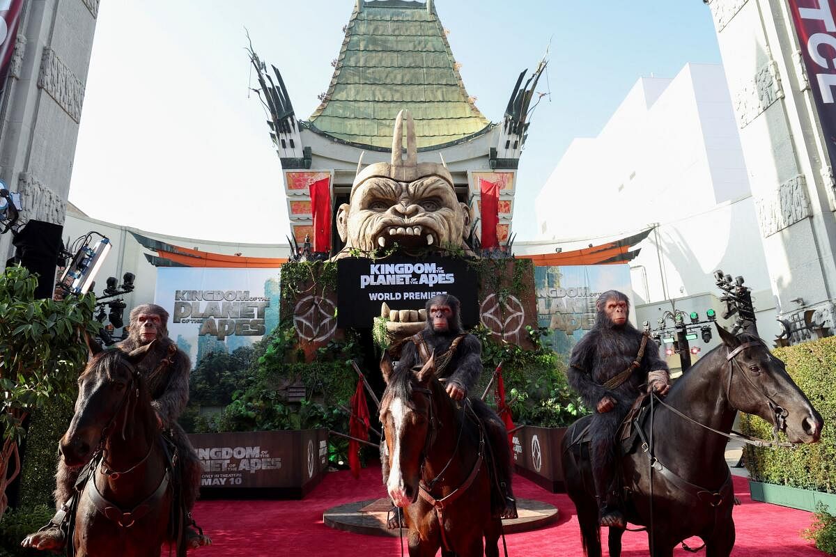 Performers in ape costumes, ride horses as they attend the premiere of the film "Kingdom of the Planet of the Apes" in Los Angeles, California.