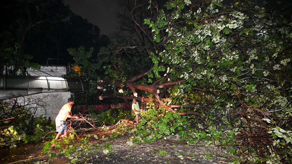 At least 128 tree fall incidents were reported in different parts of the city. Power outages were also reported from many areas.