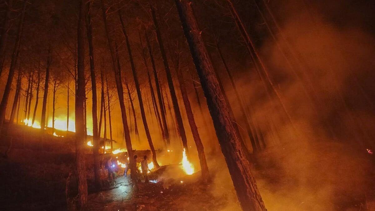 Uttarakhand forests go up in flames amid Dhami govt’s indifference
