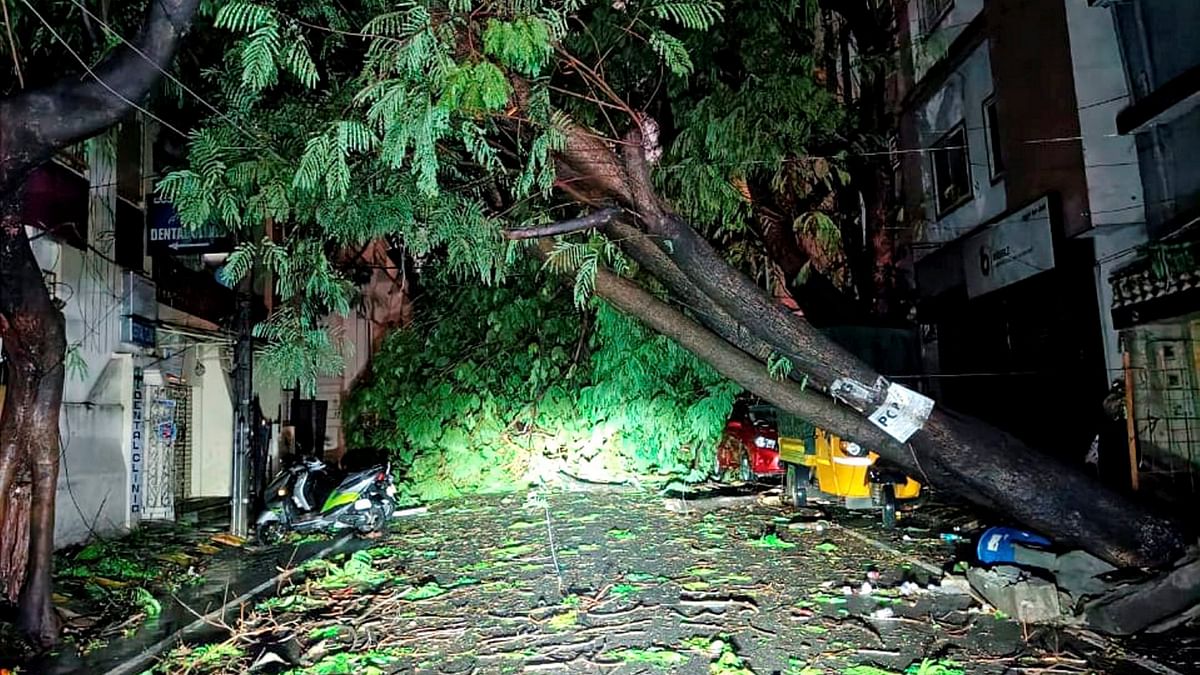 The Bruhat Bengaluru Mahanagara Palike (BBMP) said eight vehicles were damaged by fallen trees though the number is a conservative estimate.