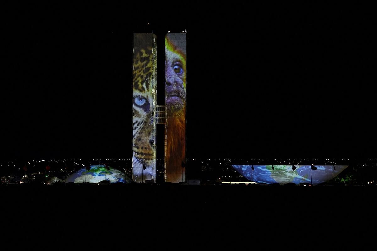 Photographs of animals are projected on the building of the National Congress as part of the events commemorating World Environment Day, in Brasilia, Brazil, Brazil, June 5, 2024.