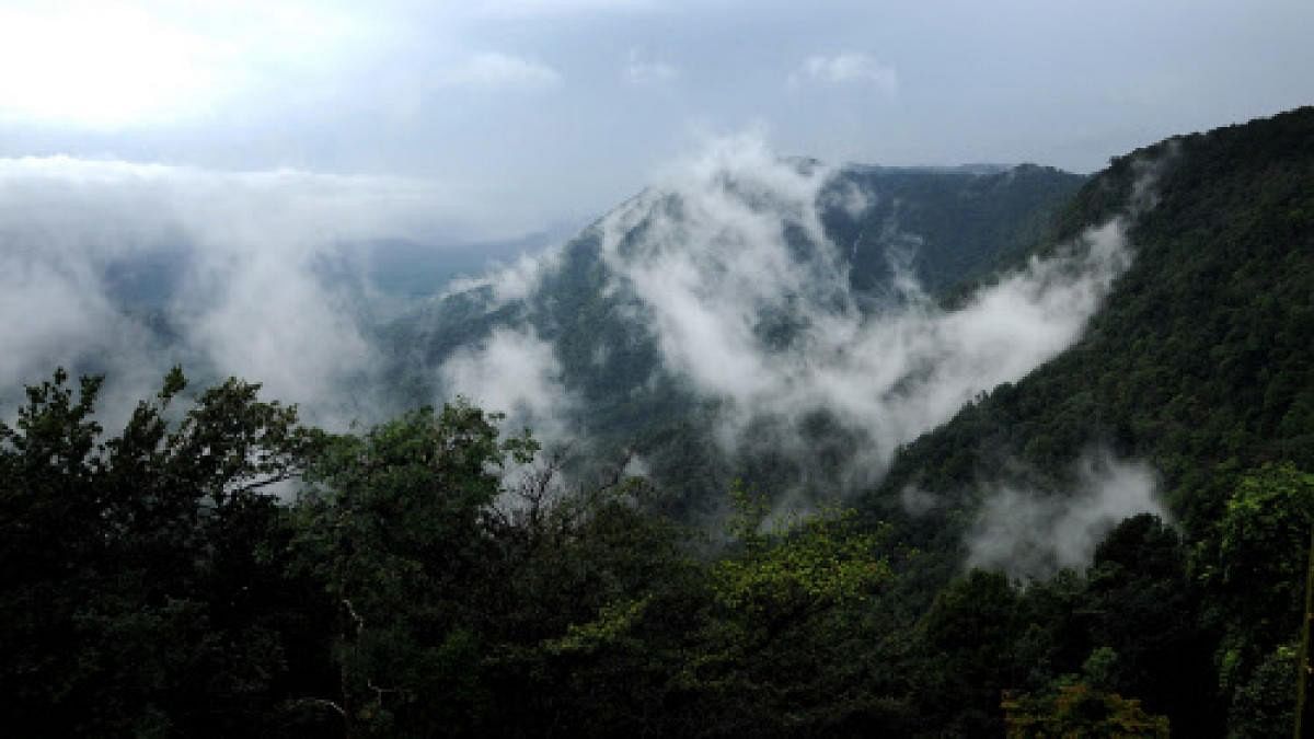 Often called the "Cherrapunji of the South," Agumbe receives heavy rainfall, creating stunning rainforests and waterfalls like Barkana Falls and Onake Abbi Falls. It's also a great place for trekking and spotting wildlife.