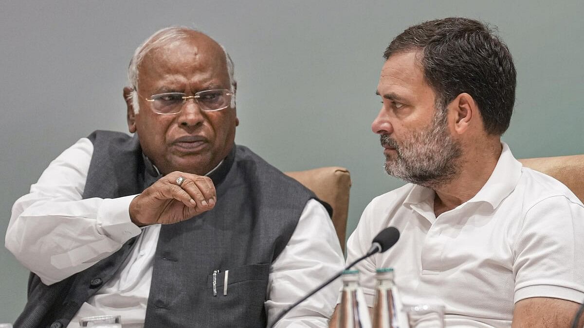 Rahul, Kharge to meet party officials of Assembly poll-bound states in bid to capitalise on growing support
