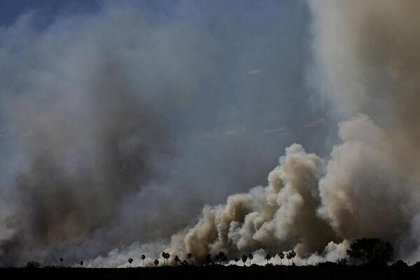 Brazil's tropical wetlands ablaze in massive fires.