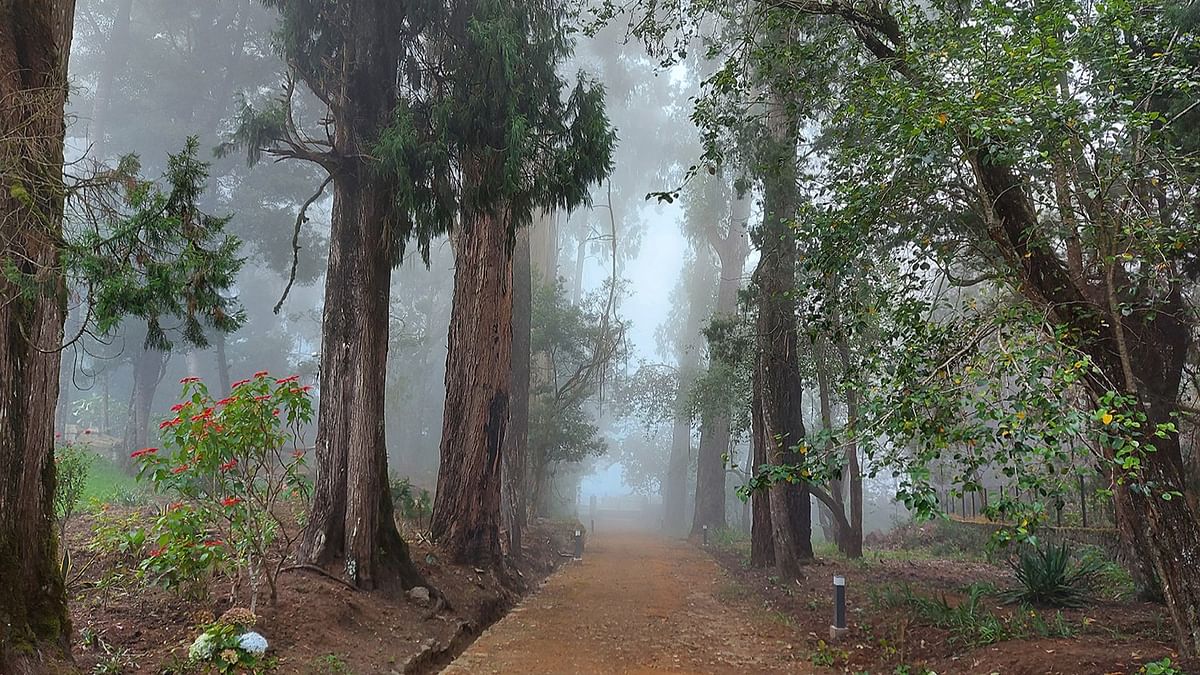 Insta-worthy hiking getaways for monsoon