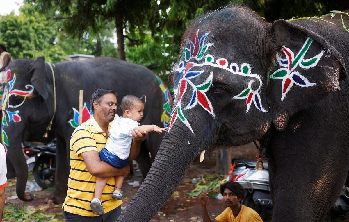 A man carries his grandson to touch a decorated elephant to seek blessing outside the Jagannath temple on the eve of the annual Rath Yatra, in Ahmedabad, Gujarat.