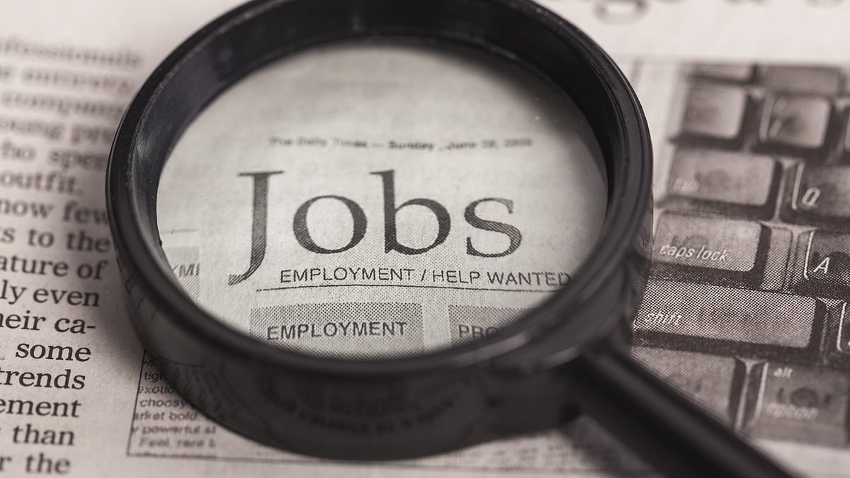 India added 4.7 cr jobs in FY24: RBI data