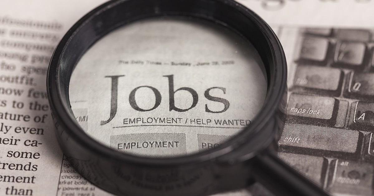 India added 4.7 cr jobs in FY24: RBI data India added 4.7 cr jobs in FY24: RBI data