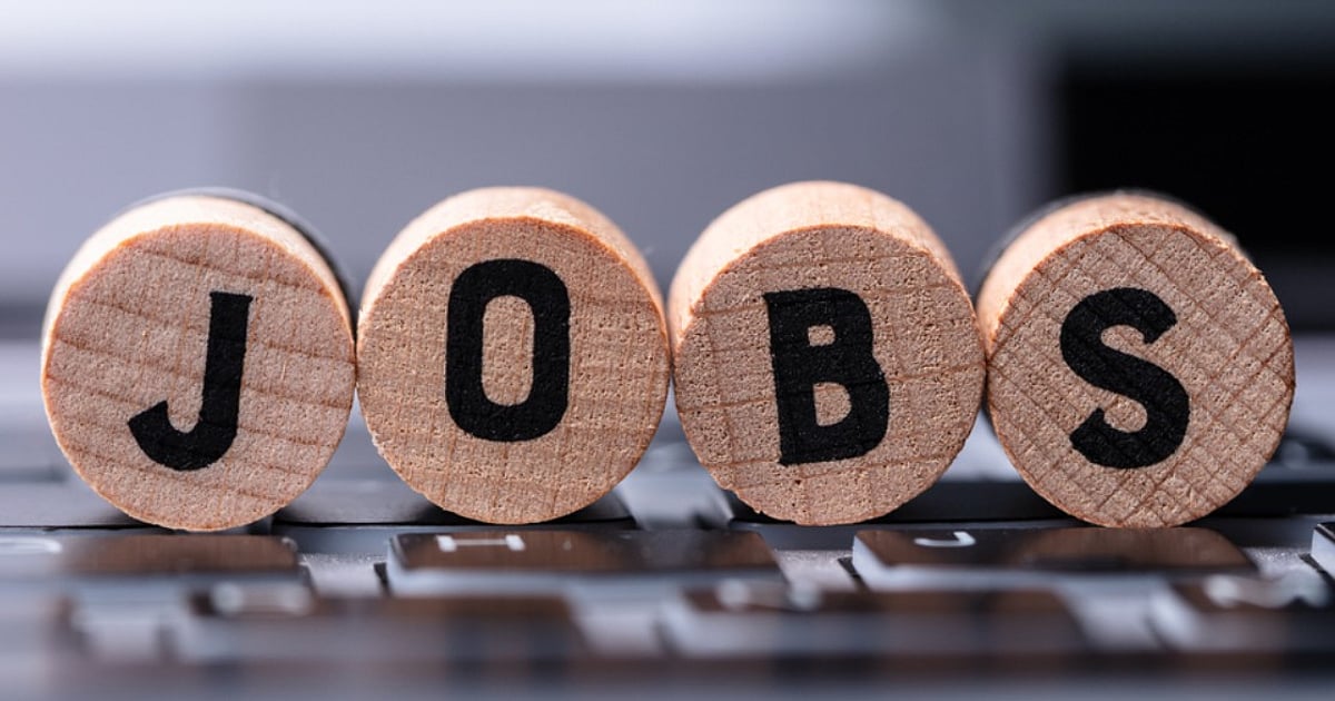 Kashmir youths demand ‘meritocracy’ in government jobs Kashmir youths demand ‘meritocracy’ in government jobs
