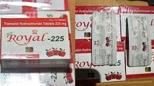 Gujarat Customs seize Tramadol worth Rs 110 crore from Adani Group's Mundra Port set for fraudulent export to west Africa
