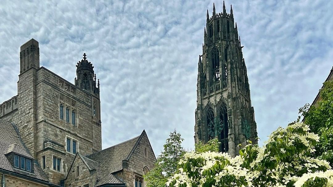 One of the oldest and most prestigious universities in the United States, Yale University, rounds off the top ten list of the Times Higher Education World University Rankings 2024.