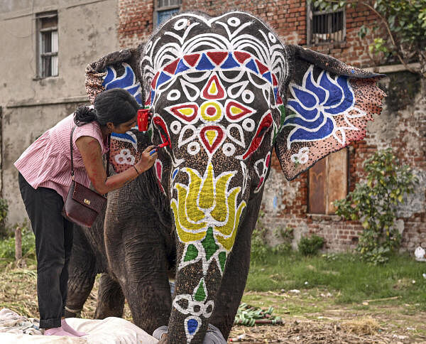 A woman paints an elephant on the eve of the annual Rath Yatra outside the Jagannath temple, in Ahmedabad.