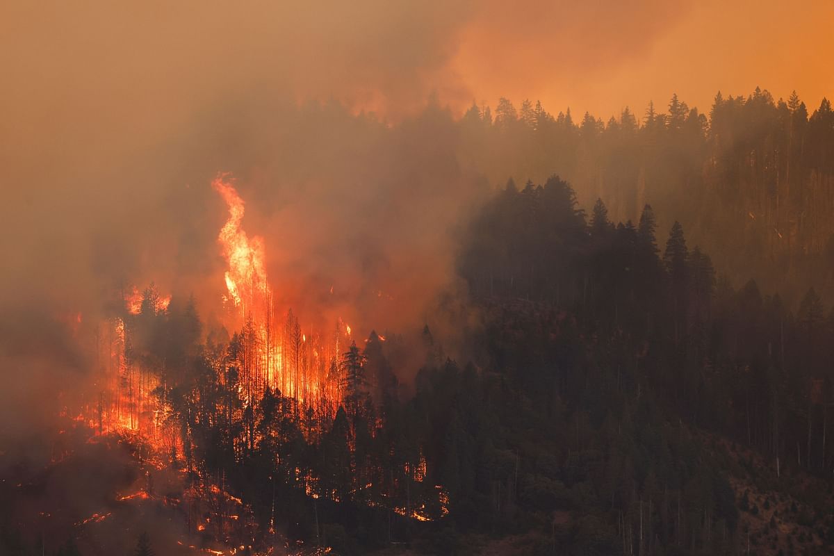 A wildfire is seen along Highway 32 near Butte Meadows, California, U.S. July 26, 2024. 