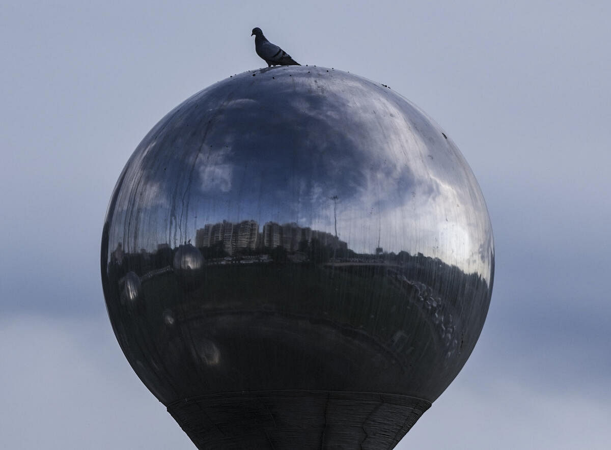 A pigeon perches on Sprouts, a public art installation near the AIIMS Hospital, in New Delhi.