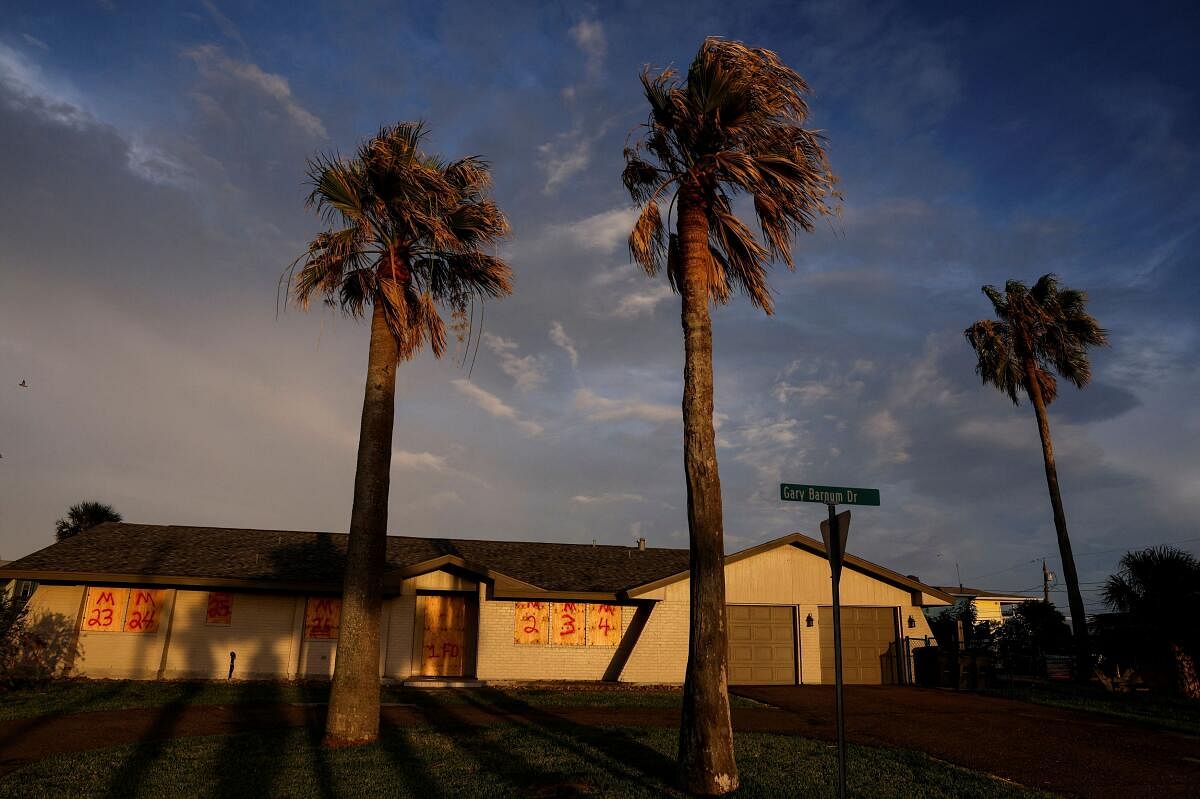 Leaves of palm trees sway in the wind before the arrival of tropical storm Beryl, in Rockport, Texas.