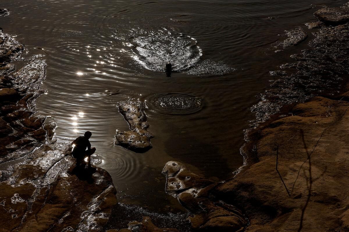 A dog cools down in a rock pool near his owner after the Malta Airport MetOffice issued an orange alert for the Maltese islands because of rising temperatures, in Sliema, Malta August 3, 2024.