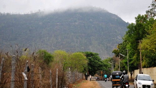 Landslips on Nandi statue road: A warning call to protect Chamundi Hill