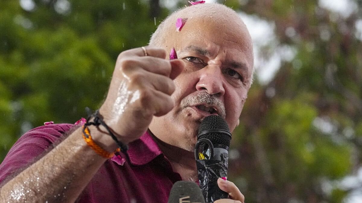 AAP leader Manish Sisodia addresses supporters after his release from Tihar jail.