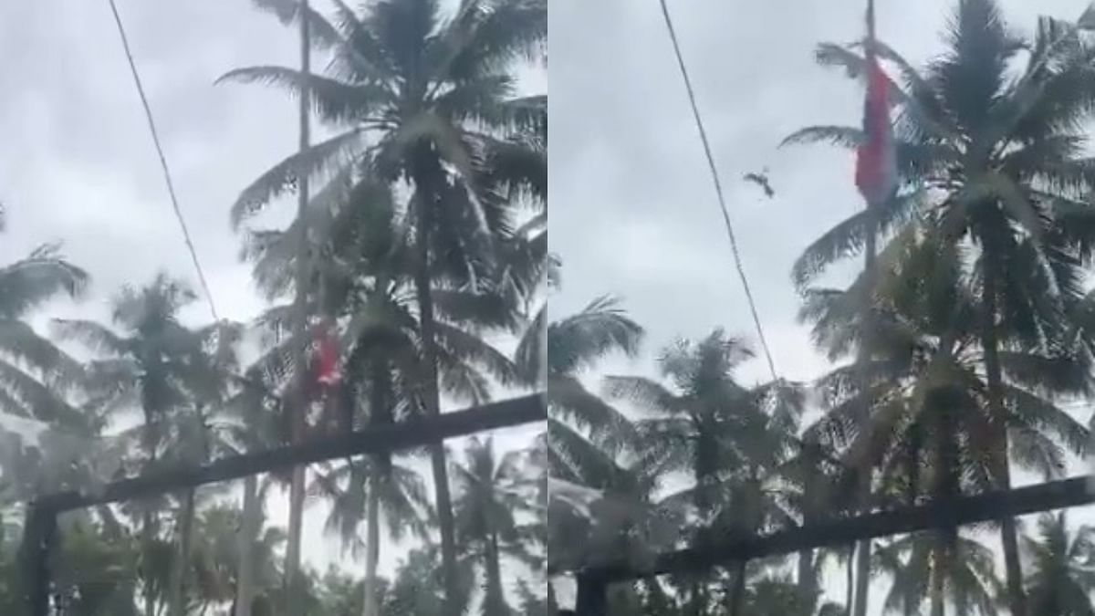 'Reincarnated spirit of patriot': Internet reacts to bird 'unfurling' stuck national flag in Kerala