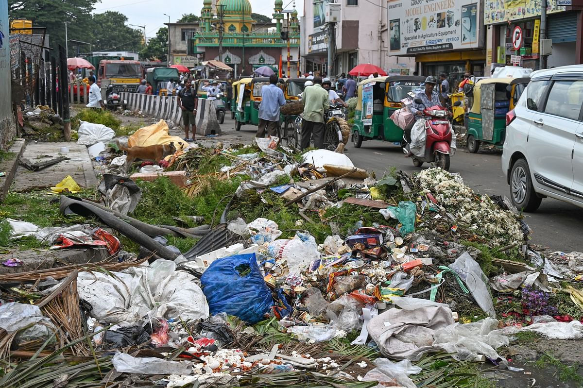 Heaps of uncleared garbage particularly prevalent on weekends dot the cityscape. Numerous citizen groups have urged the BBMP to consistently remove trash to prevent the spread of infectious diseases. 