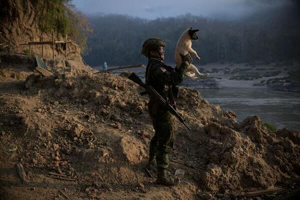 A member of Bamar People's Liberation Army (BPLA) plays with a puppy in territory belonging to the Karen National Liberation Army (KNLA), in Karen State, Myanmar.