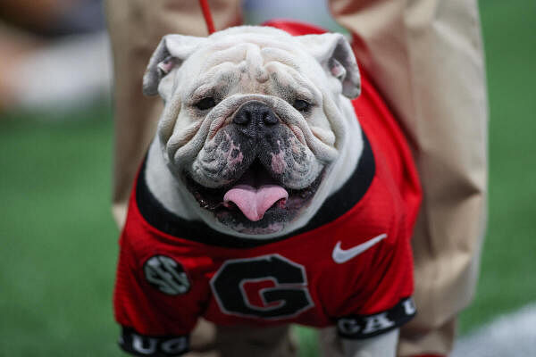 Bulldogs mascot Uga XI on the field against the Clemson Tigers in the first quarter at Mercedes-Benz Stadium.