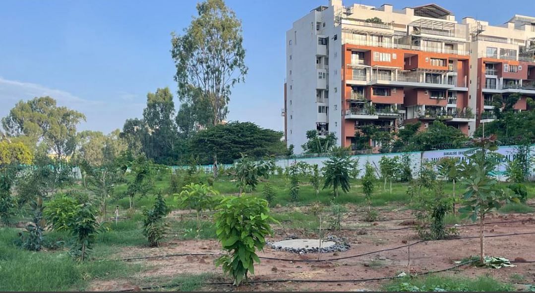 (Before and after) The transformation of the landscape in Haralur near HSR Layout Bengaluru.