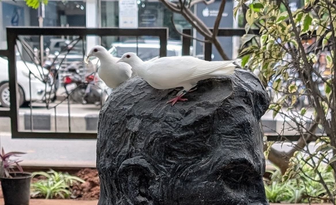 Google Pixel 9's camera sample reworked with 'Reimagined' AI feature to add white pigeons on the head of the statue.