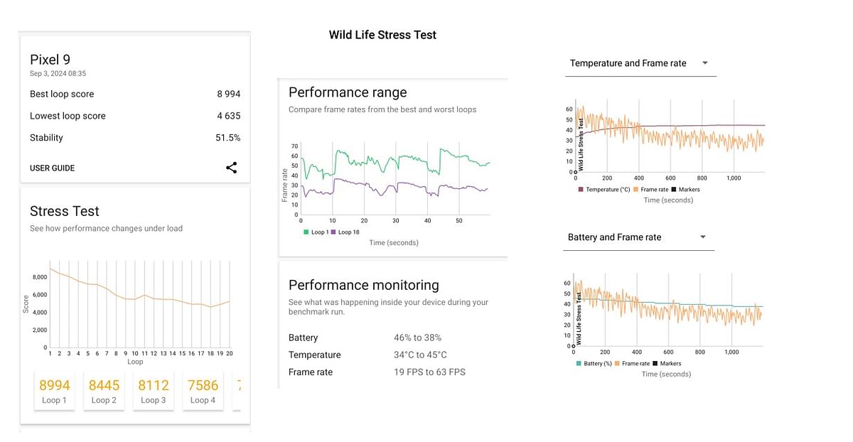 Pixel 9 Wildlife Stress Performance score.