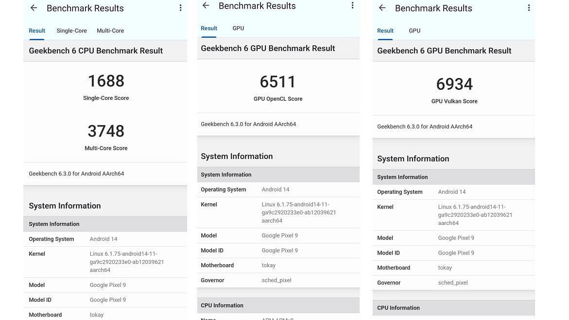 Pixel 9's single-core, multi-core and GPU performance score on Geekbench 6.0 app.