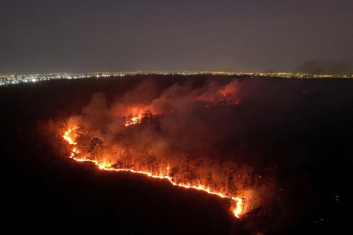 A drone view shows wildfires in an area of Brasilia's National Forest, in Brasilia, Brazil, September 4, 2024.