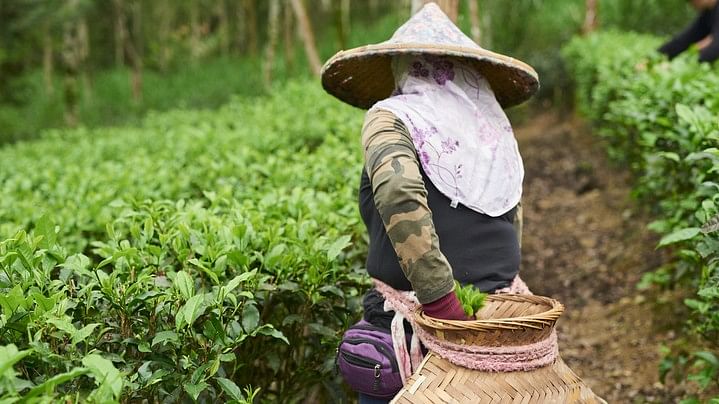 In rural China, 'sisterhoods' demand justice, and cash