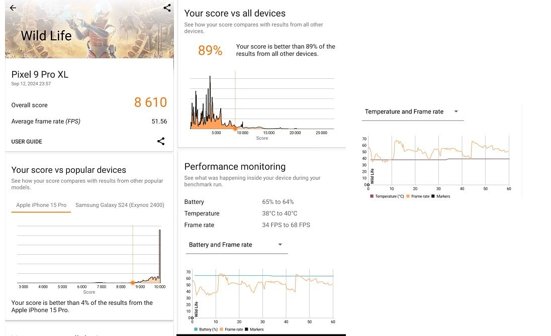 Google Pixel 9 Pro XL's Wild Life 3D Mark performance score.