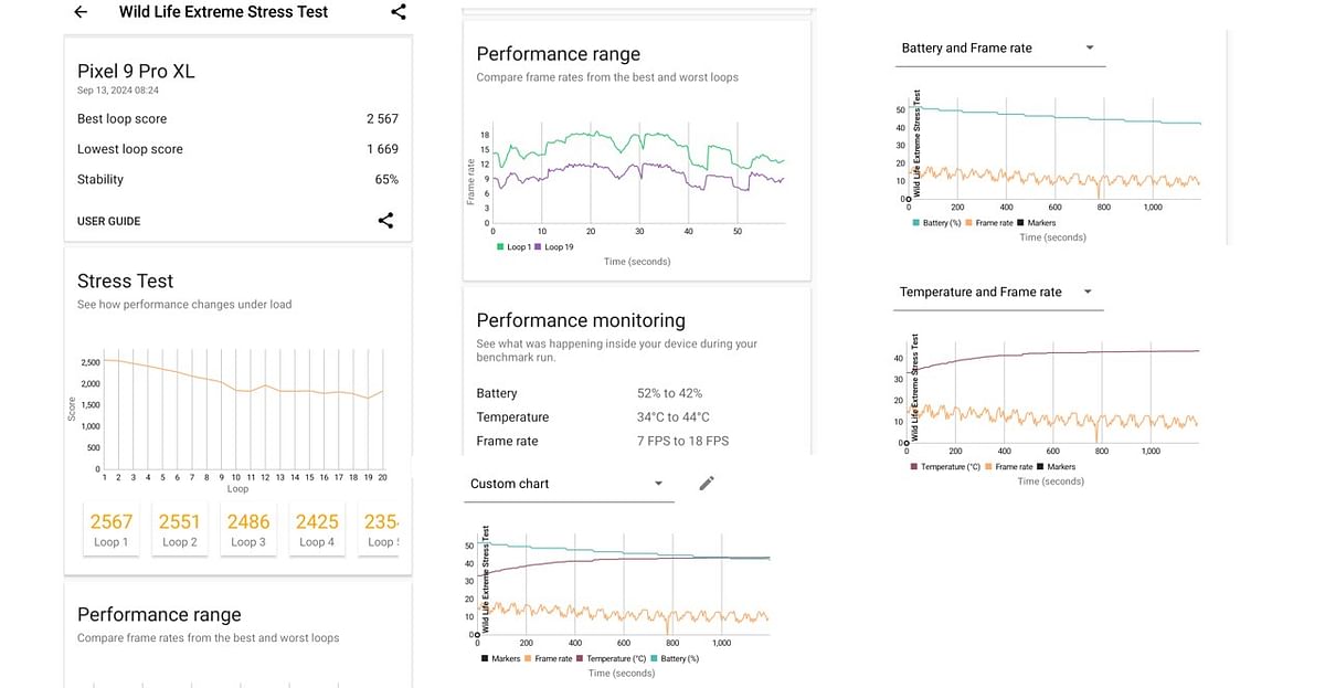 Google Pixel 9 Pro XL's Wild Life Extreme Stress Test performance score.