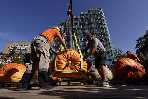 Workers use a crane to weigh a giant pumpkin during a ceremony prior to the opening of an exhibition of large vegetables at Moscow State University's botanical garden, also known as the Apothecary Garden, in Moscow, Russia